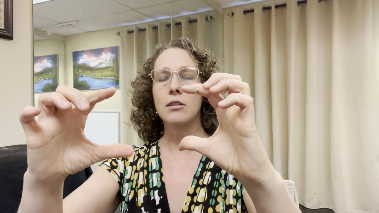 Illustration of suboccipital muscles