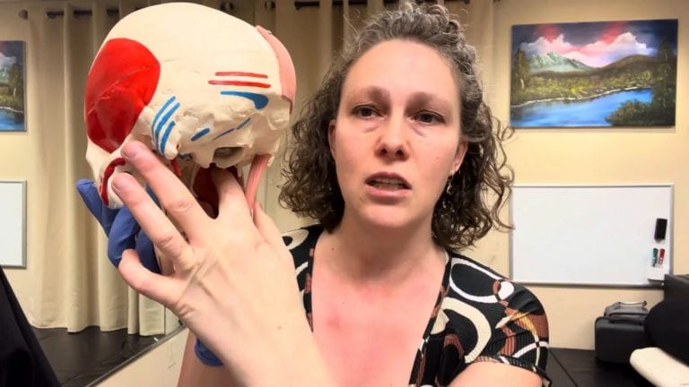 Lateral Pterigoid Massage: A Deep Dive into Jaw Relief